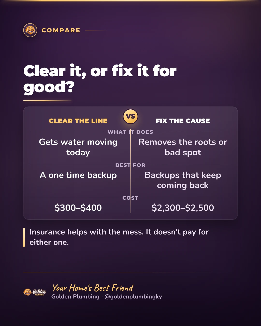 Golden Plumbing comparison card: clearing a sewer backup runs $300–$400 versus a low-intrusion spot repair for the roots or bad section behind it at $2,000–$2,200, since insurance covers the cleanup but not either repair