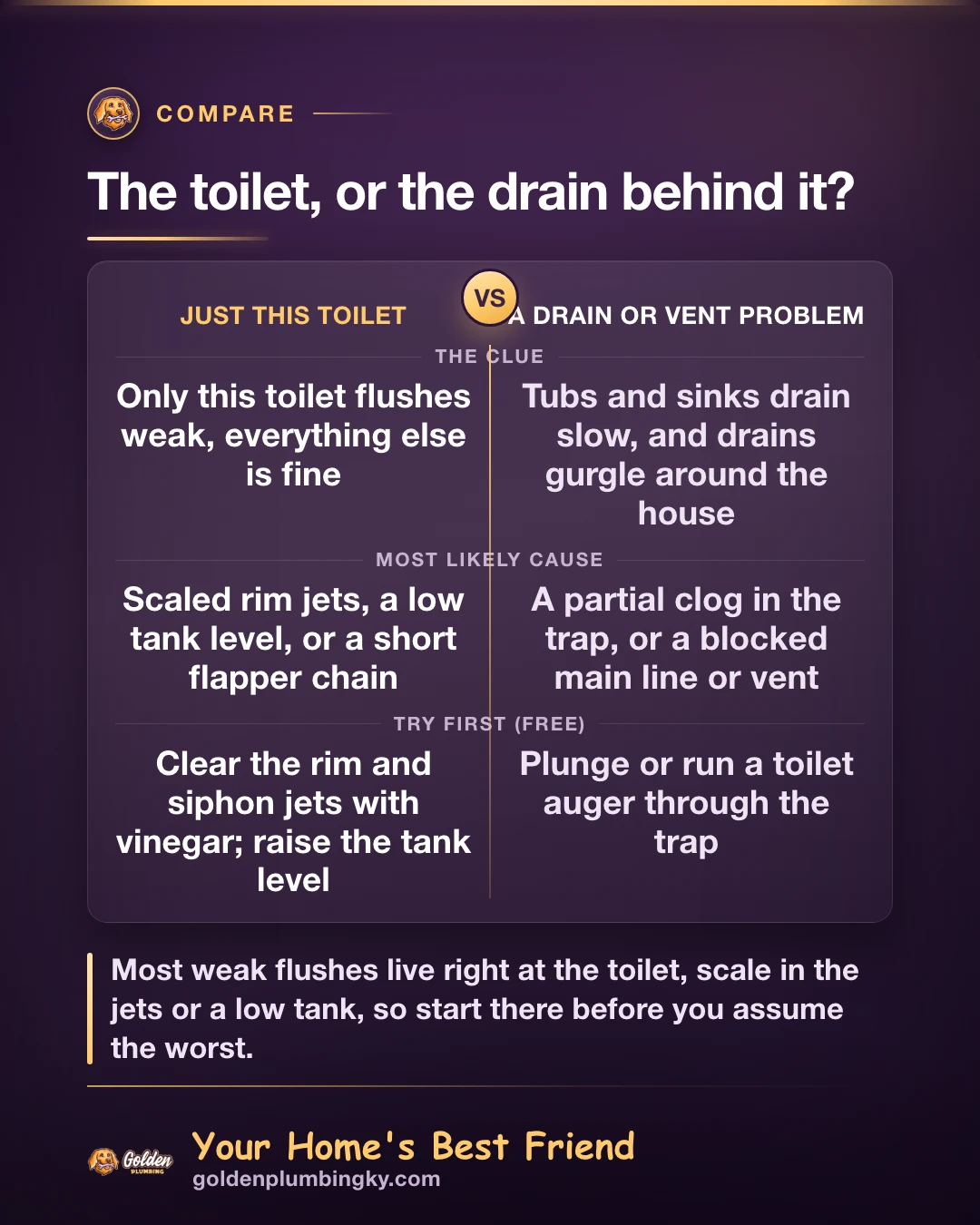 Golden Plumbing comparison card: The toilet, or the drain behind it?